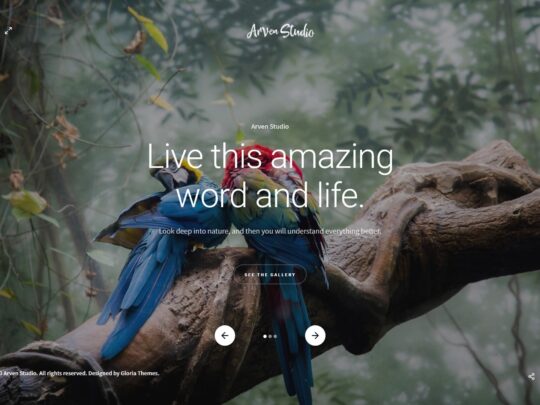Arven - WordPress photography theme
