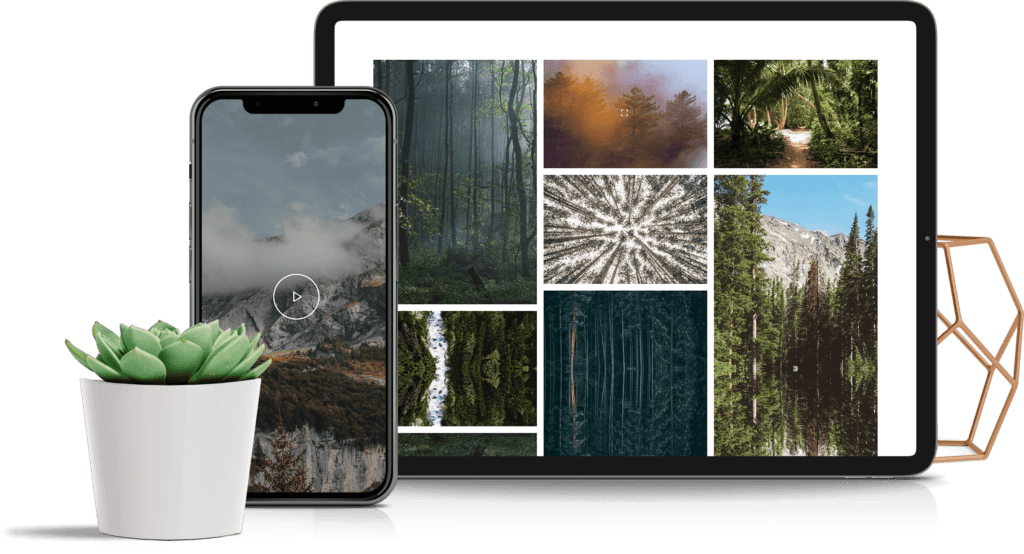 Slider & Media Integrations
