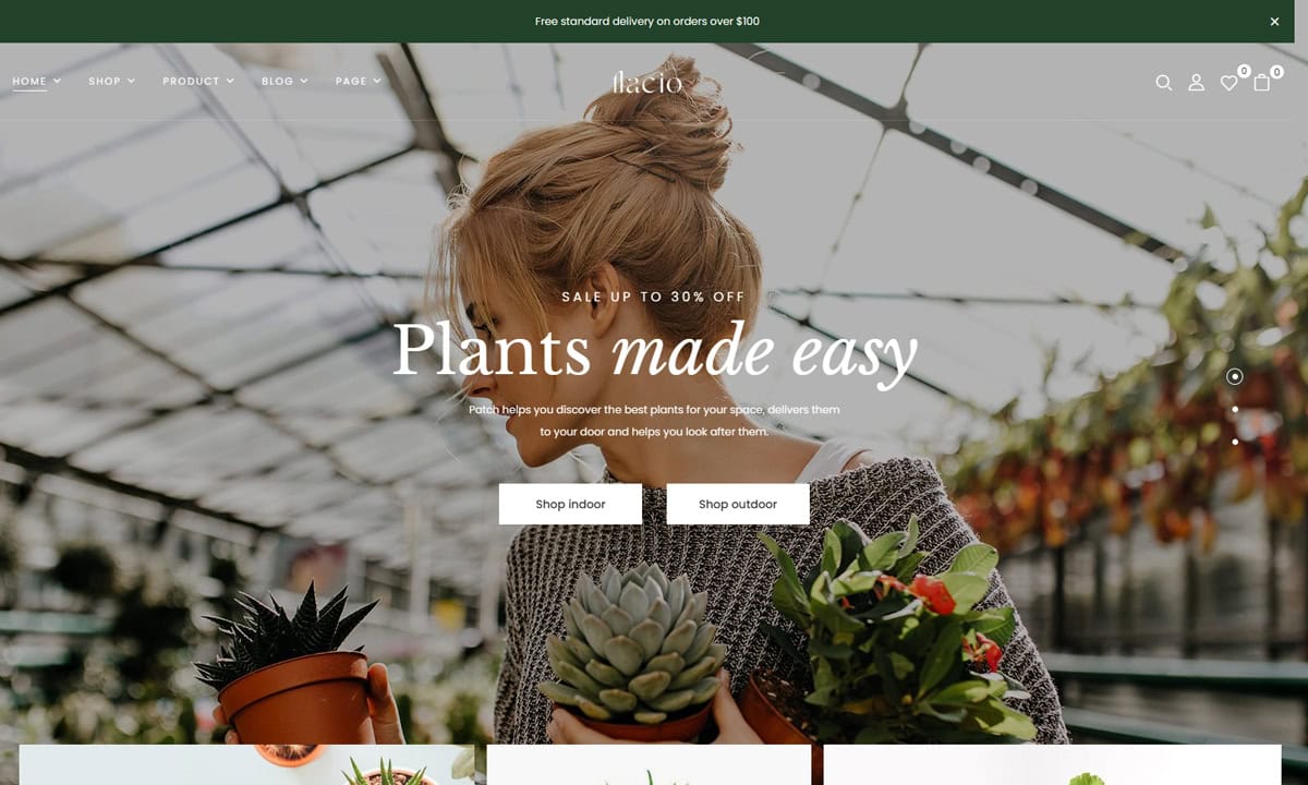 Flacio Flower Shop WooCommerce Themes