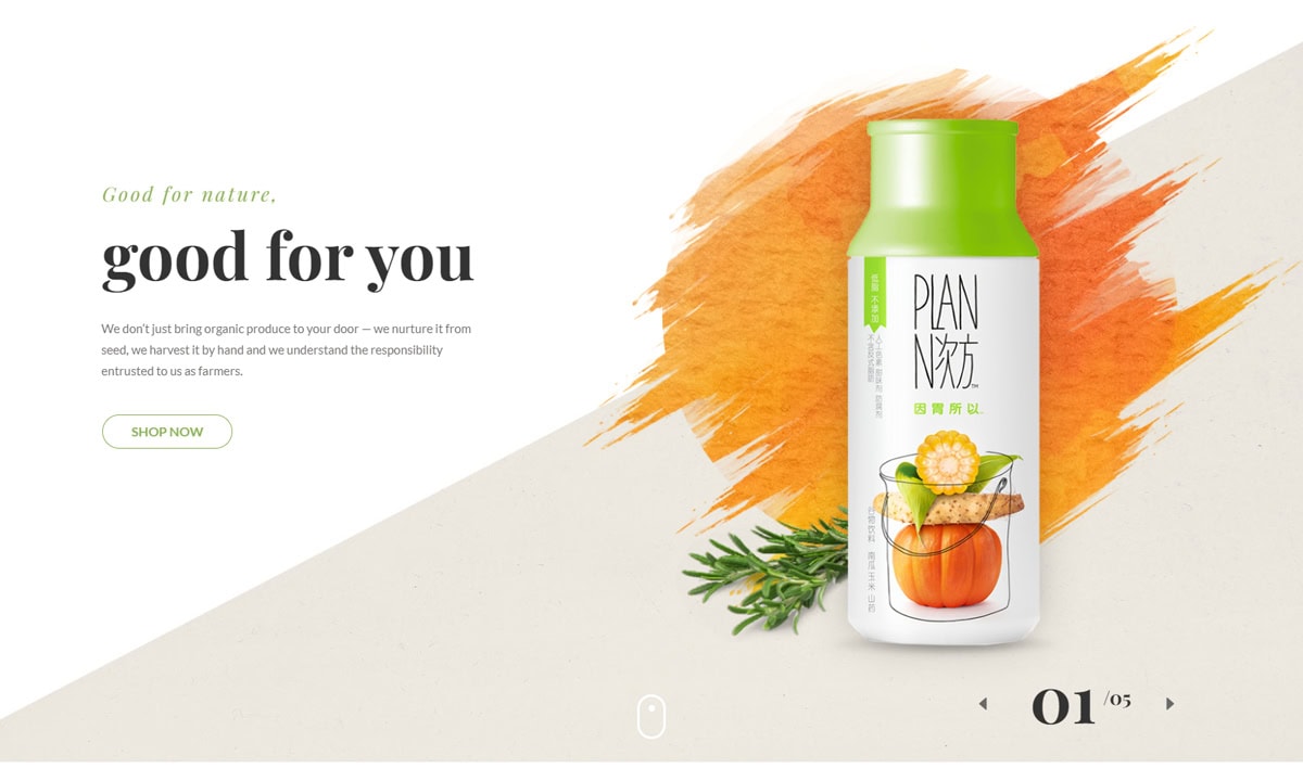 Organie Flower Shop WooCommerce Themes