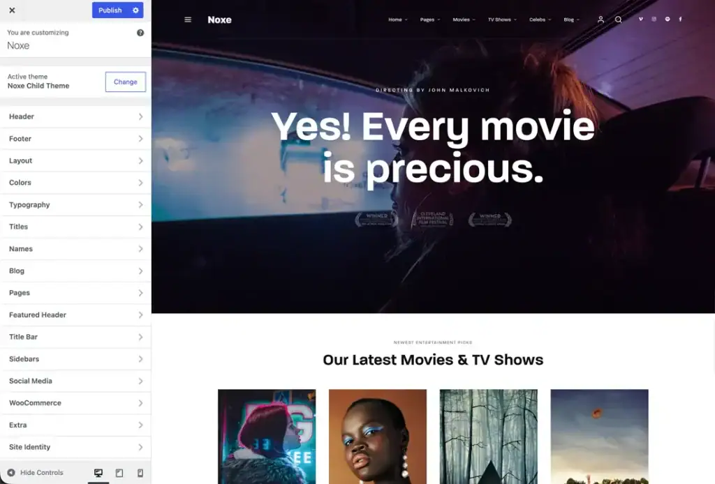 Advanced Theme Customizer